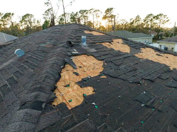 Roof Insulation Installation in Superior, NE